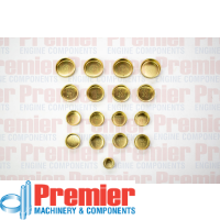 Premier Welch plug kit Thumbnail