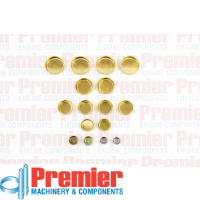 Premier Welch plug kit Thumbnail