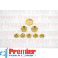 Premier Welch plug kit Thumbnail