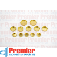 Premier Welch plug kit Thumbnail