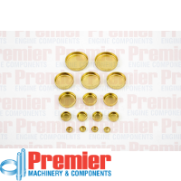 Premier Welch plug kit Thumbnail