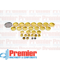 Premier Welch plug kit Thumbnail