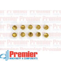 Premier Welch plug Thumbnail
