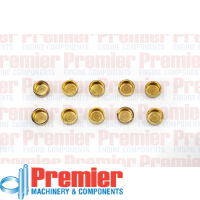 Premier Welch plug Thumbnail