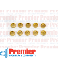 Premier Welch plug Thumbnail