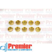 Premier Welch plug Thumbnail
