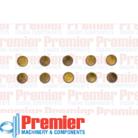 Premier Welch plug Thumbnail