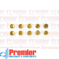 Premier Welch plug Thumbnail