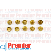 Premier Welch plug Thumbnail