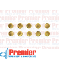 Premier Welch plug Thumbnail