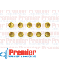Premier Welch plug Thumbnail