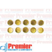 Premier Welch plug Thumbnail