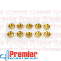 Premier Welch plug Thumbnail