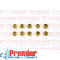 Premier Welch plug Thumbnail