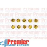 Premier Welch plug Thumbnail