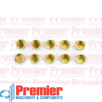 Premier Welch plug Thumbnail